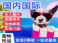 重庆江北机场物流国际宠物托运 【国
